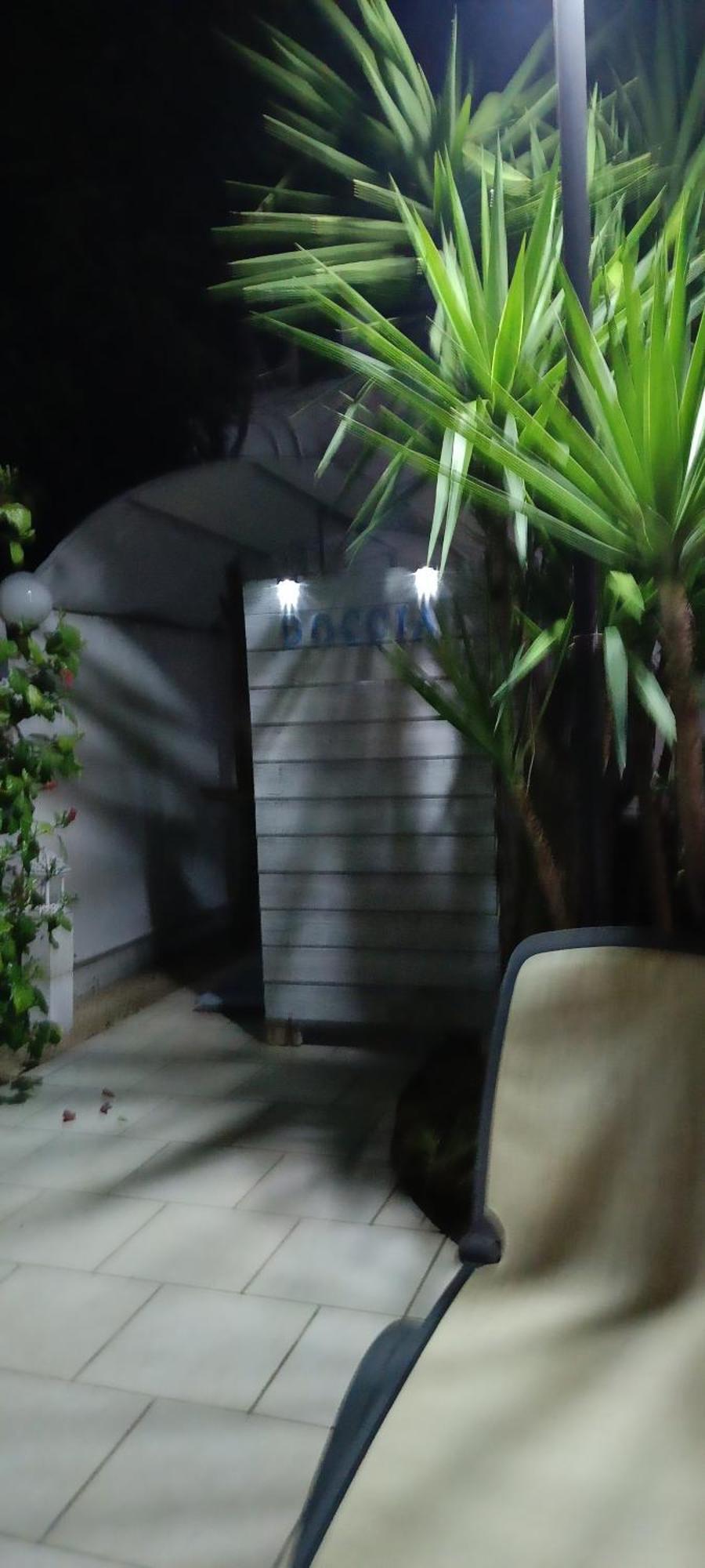 Villa Gisella Punta Prosciutto Exteriör bild